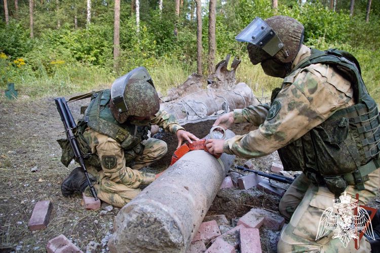 Los ingenieros militares de Rosguardia neutralizaron 50 municiones no explotadas en la provincia de Khárkov