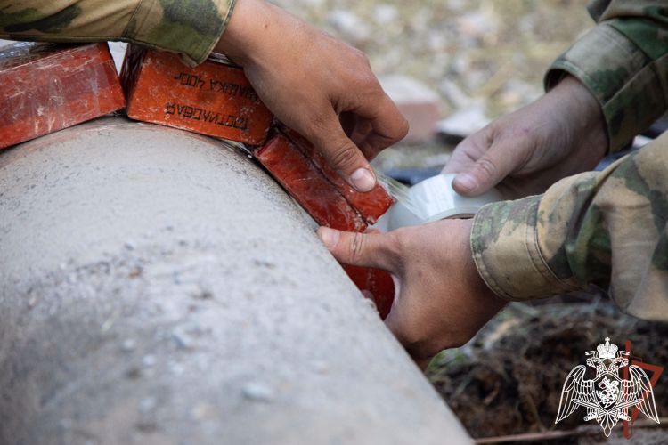 Los ingenieros militares de Rosguardia neutralizaron 50 municiones no explotadas en la provincia de Khárkov