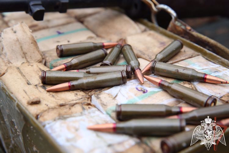 Los militares de Rosguardia descubrieron un zulo con las armas de los saboteadores en la provincia de Khersón