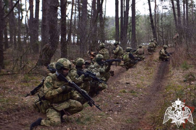 Las unidades especiales de Rosguardia abatieron al líder de una celda de la defensa territorial de Ucrania en la provincia de Khárkov