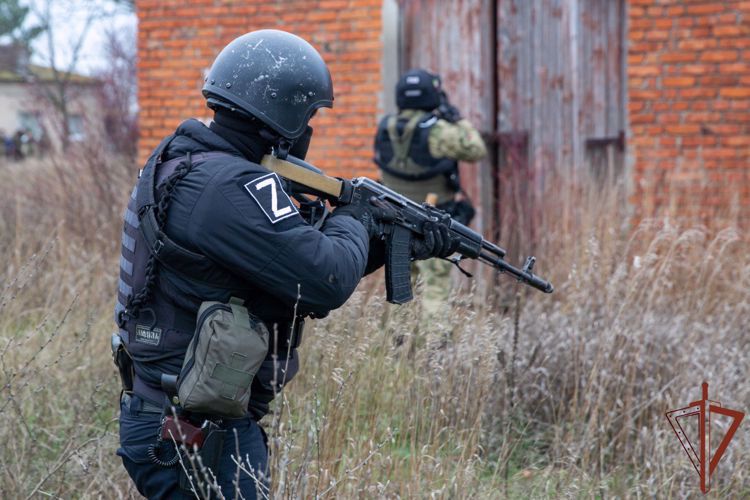 Los militares de Rosguardia descubrieron en la provincia de Zaporózhie un escondite con los objetos explosivos