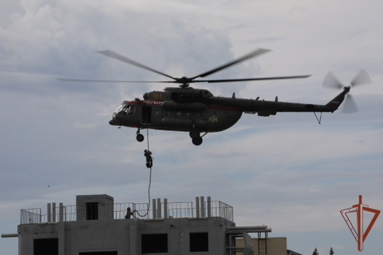 Las fuerzas colectivas de la Organización del Tratado de la Seguridad Colectiva (OTSC) bajo la dirección de Rosguardia practicaron las actividades de la lucha contra el terrorismo en los marcos de las maniobras militares «Cobalt-2024»